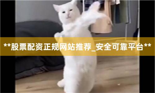 **股票配资正规网站推荐_安全可靠平台**